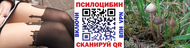 Купить где Ивдель Псилоцибиновые грибы мухоморы